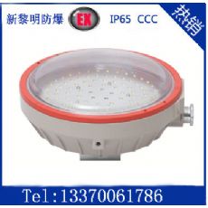 BZD118-02（CCD96)防爆免維護LED吸頂燈